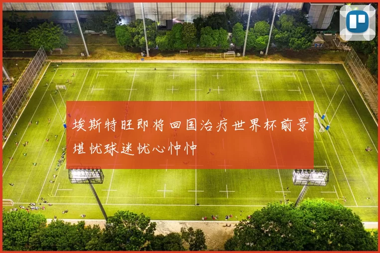 埃斯特旺即将回国治疗世界杯前景堪忧球迷忧心忡忡